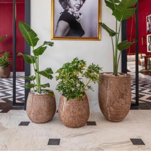Bronze Planter Pot