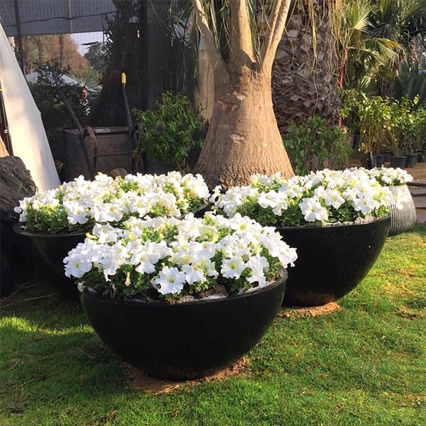 Dormaad Planter Pot