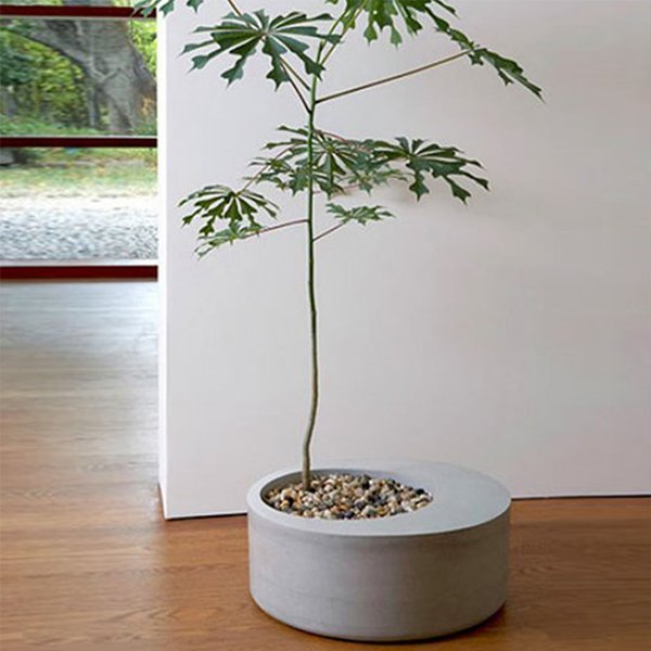 وعاء زارع أونا</trp-post-container