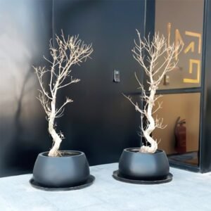 Verna Planter Pot