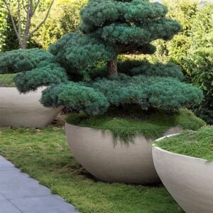Trivion Planter Pot