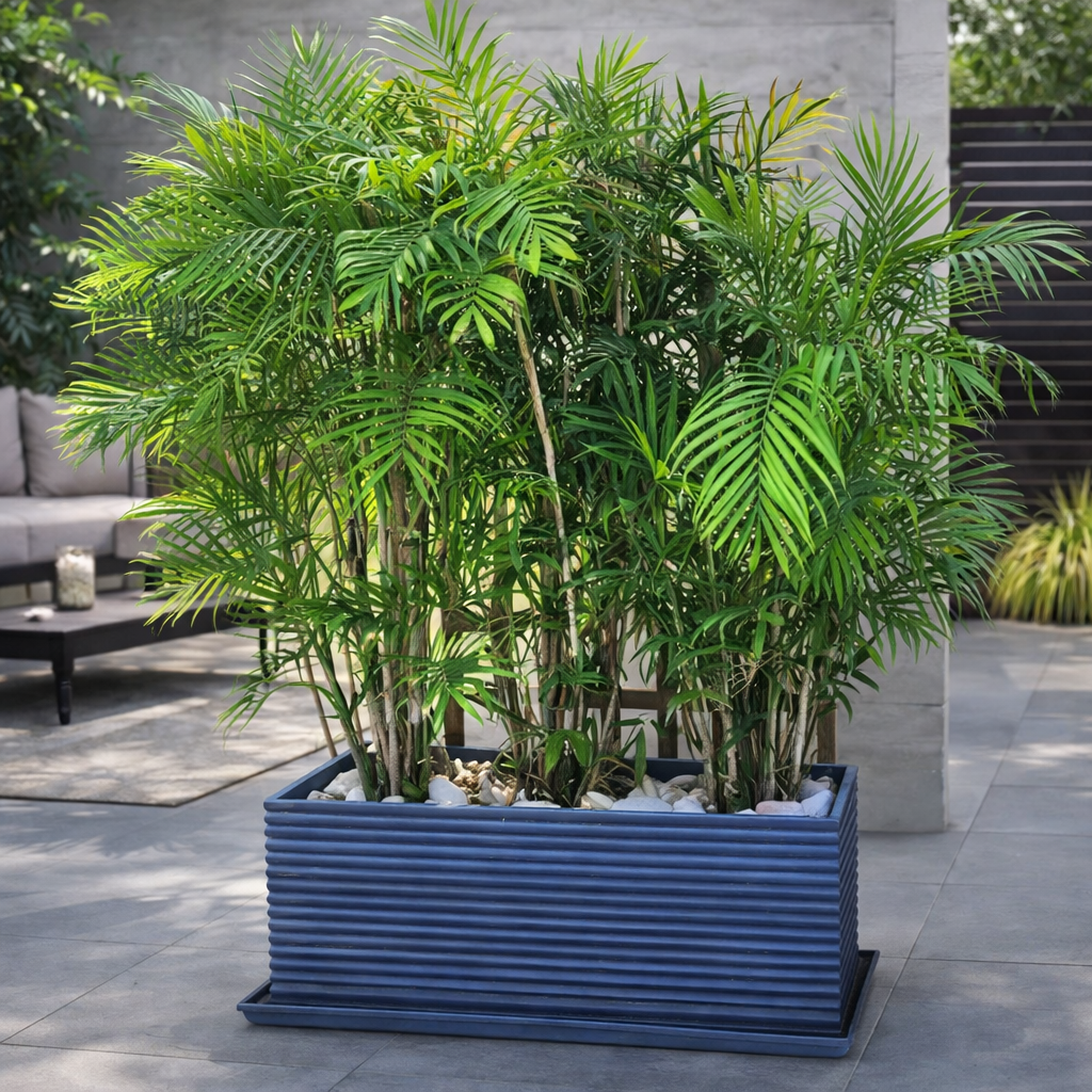 Oasis Planter Pot